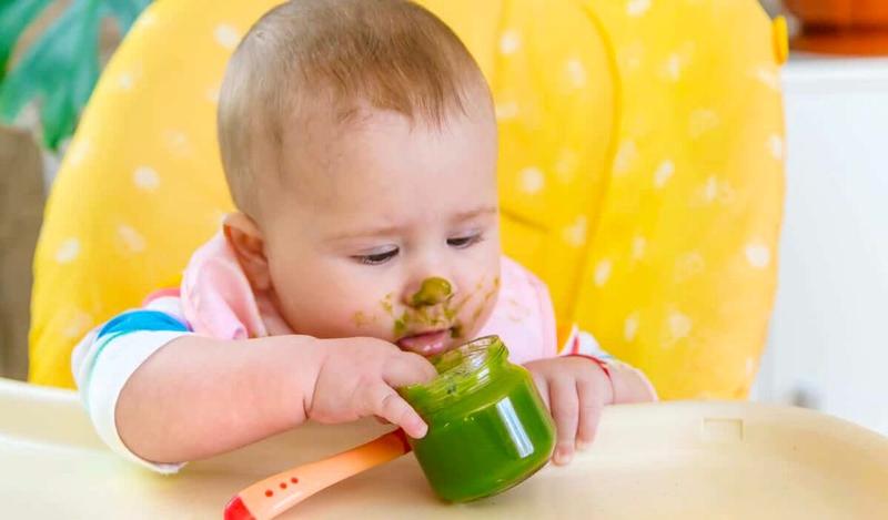 Cháo tôm cải kale và các món ăn dinh dưỡng cho trẻ nhỏ 1