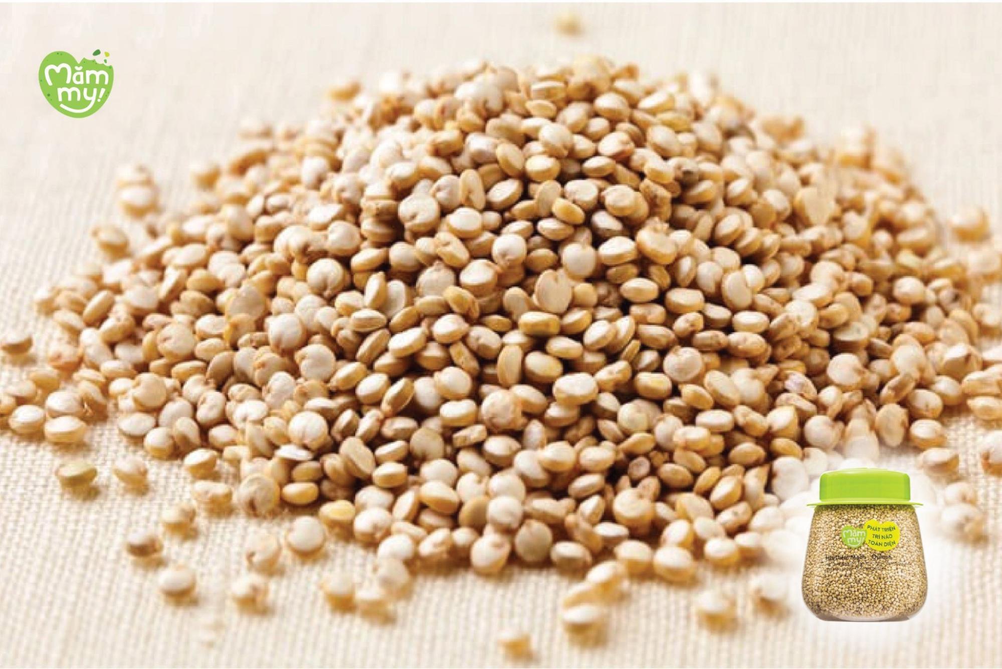 Hạt quinoa tốt cho sức khỏe bé