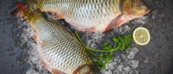 Thành phần dinh dưỡng của cá chép và các món ăn ngon từ cá chép
