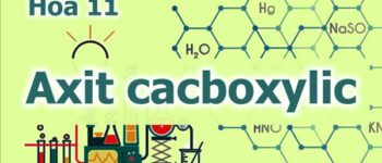 Tính chất của axit cacboxylic – Môn Hóa lớp 11