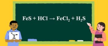 FeS + HCl → FeCl2 + H2S | FeS ra FeCl2 | HCl ra H2S